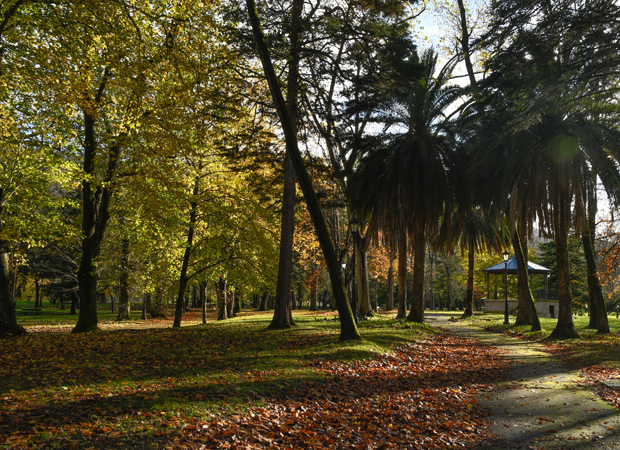Vista Parque de Alceda