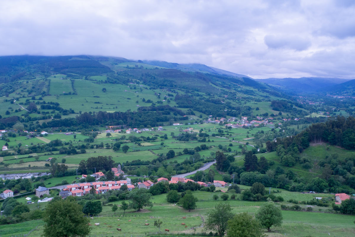 Prases