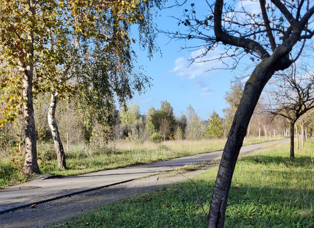 Ruta Bici 01 Parque de Alceda