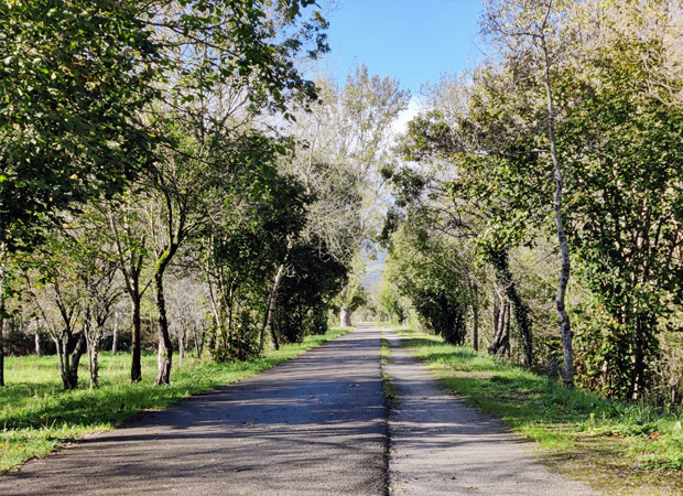 Imagen ruta