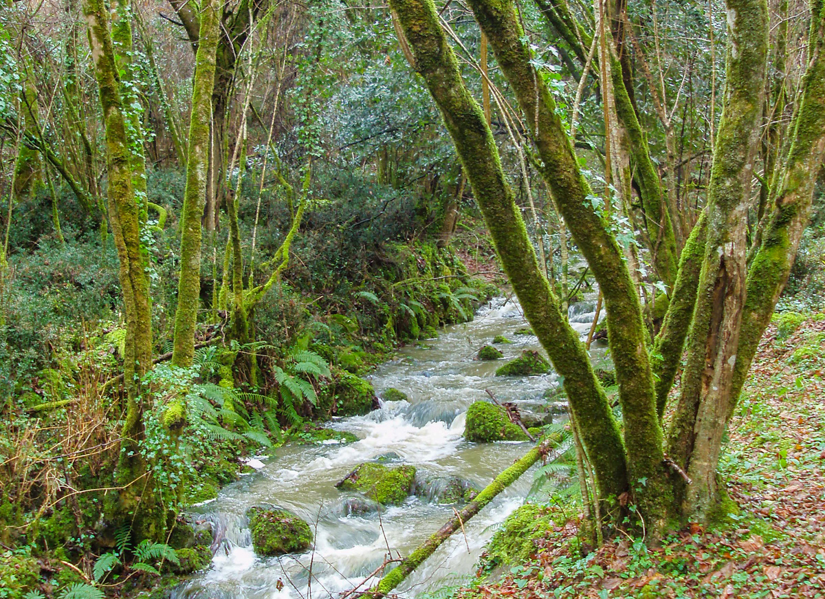 Foto ruta