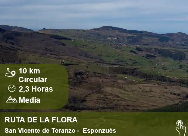 Ruta de la flora San Vicente de Toranzo Exponzués