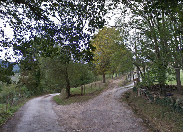 Ruta de la Flora